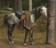 Horse Wall Mural