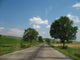 Traveling Wall Decal