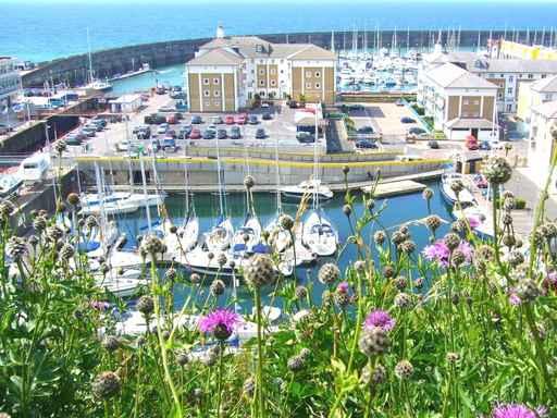 Cliff Top Brighton Marina Wall Decal