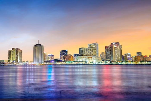 Downtown New Orleans Louisiana Skyline Wall Decal