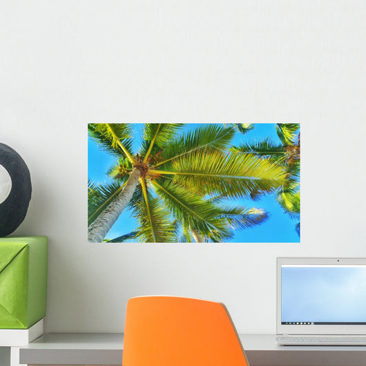 Coconut Palm Tree Perspective Wall Decal