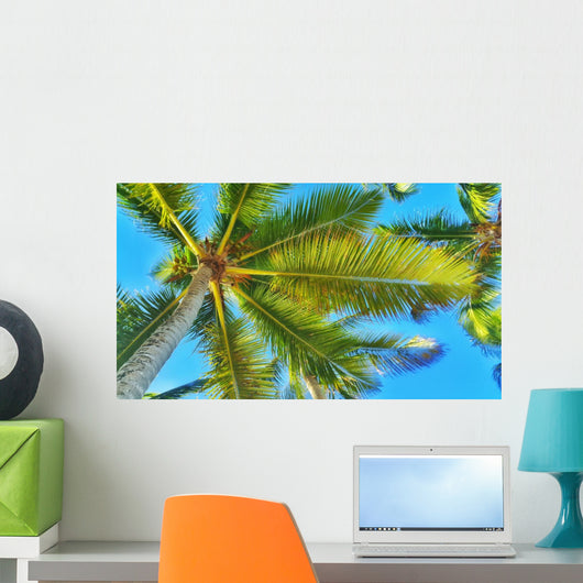 Coconut Palm Tree Perspective Wall Decal