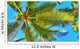 Coconut Palm Tree Perspective Wall Decal