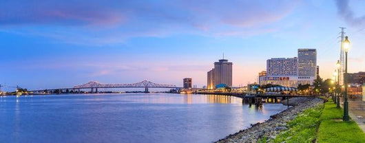 Downtown New Orleans Louisiana Wall Decal