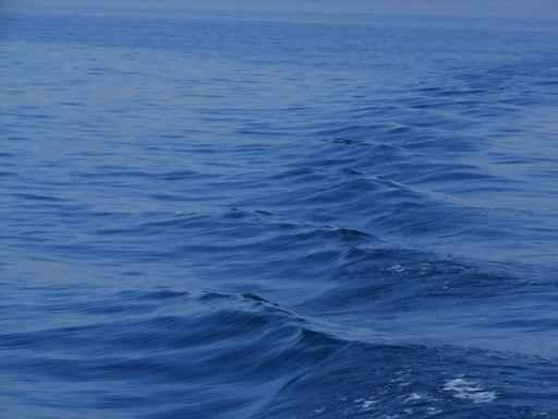 Waves Blue Sea Wall Decal