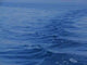 Waves Blue Sea Wall Decal
