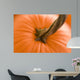 Horizontal Selective Focus Image Wall Decal