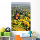 Weinberg Pillnitz Wall Decal