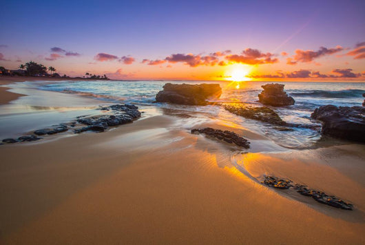 Sunrise Sandy Beach Honolulu Wall Decal