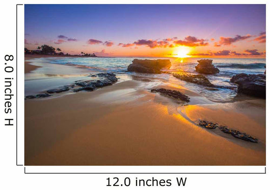 Sunrise Sandy Beach Honolulu Wall Decal