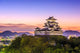 Himeji Castle Wall Decal