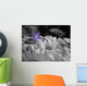 Drop Color Wall Decal