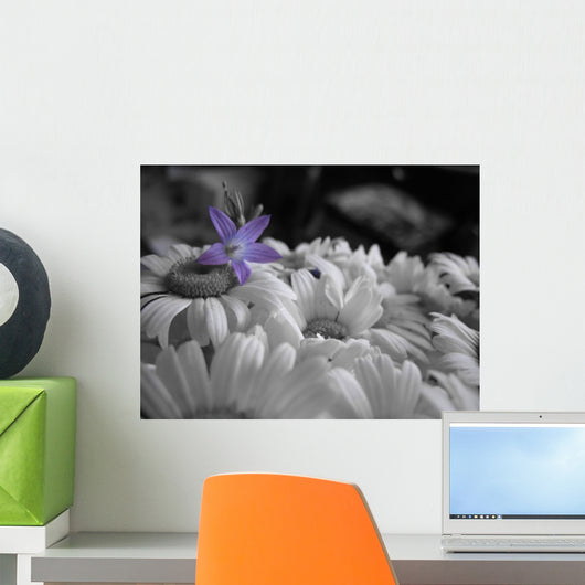 Drop Color Wall Decal