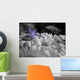 Drop Color Wall Decal