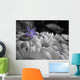 Drop Color Wall Decal