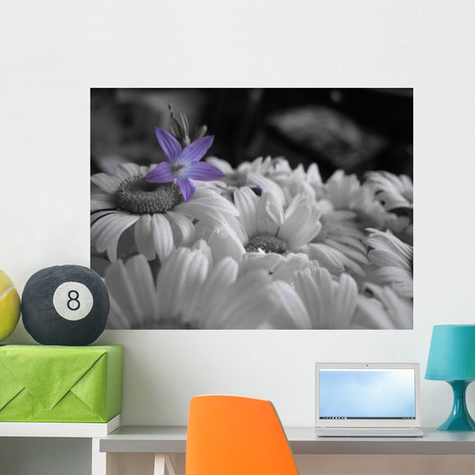 Drop Color Wall Decal