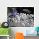 Drop Color Wall Decal