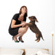 Coppia Bassotto E Donna Wall Decal