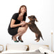 Coppia Bassotto E Donna Wall Decal