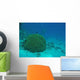 Brain Coral Red Sea Wall Decal