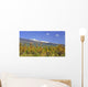 Vineyards Foot Mont Ventoux Wall Decal