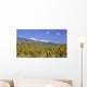 Vineyards Foot Mont Ventoux Wall Decal