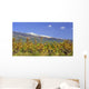 Vineyards Foot Mont Ventoux Wall Decal