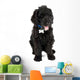 Black Labradoodle Puppy Dog Wall Decal
