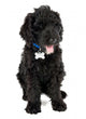 Black Labradoodle Puppy Dog Wall Decal