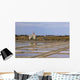 Marais Salant Wall Decal