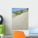 Duene2 Wall Decal
