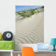Duene2 Wall Decal