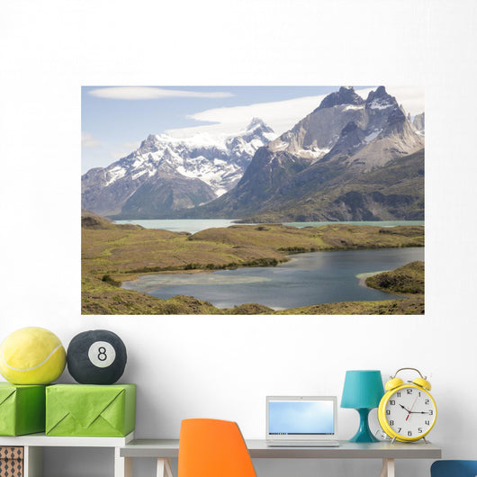 Torres Del Paine Wall Decal