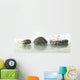 Wet Zen Stones with Wall Decal