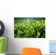 Tea Plantation Wall Decal