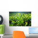 Tea Plantation Wall Decal