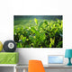 Tea Plantation Wall Decal