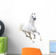 White Arabian Horse White Wall Decal