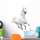 White Arabian Horse White Wall Decal