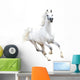 White Arabian Horse White Wall Decal