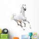White Arabian Horse White Wall Decal