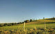 Landscape Aveyron Wall Decal