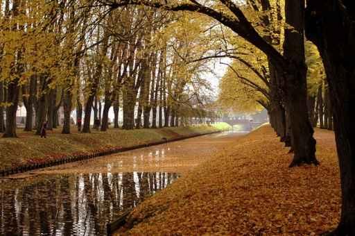 Autumn Wall Mural