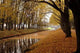 Autumn Wall Mural