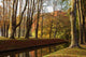 Autumn Wall Mural