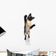 Siamese Cat Jumping Wall Decal
