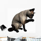 Siamese Cat over White Wall Decal