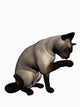 Siamese Cat over White Wall Decal