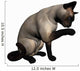 Siamese Cat over White Wall Decal