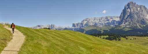 Alpe Di Siusi Wall Decal